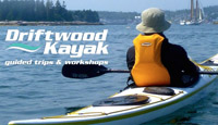 Driftwood Kayak | Web & Print Collateral